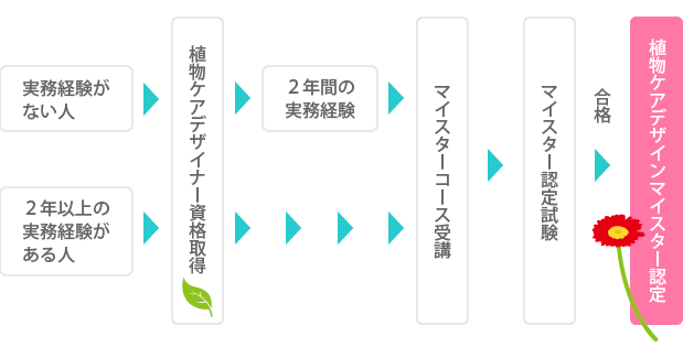 植物ケアデザイナー資格取得後、マイスターコース受講を経て、マイスター認定試験に合格すれば、植物ケアデザインマイスターとなります